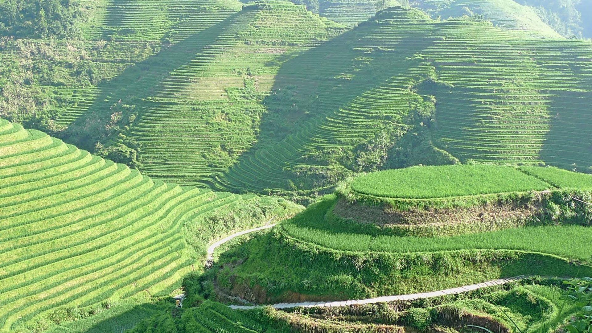 Philippinen, Banaue, Reisterrassen, Schöner, Ort, 1920x1080 Full HD Desktop