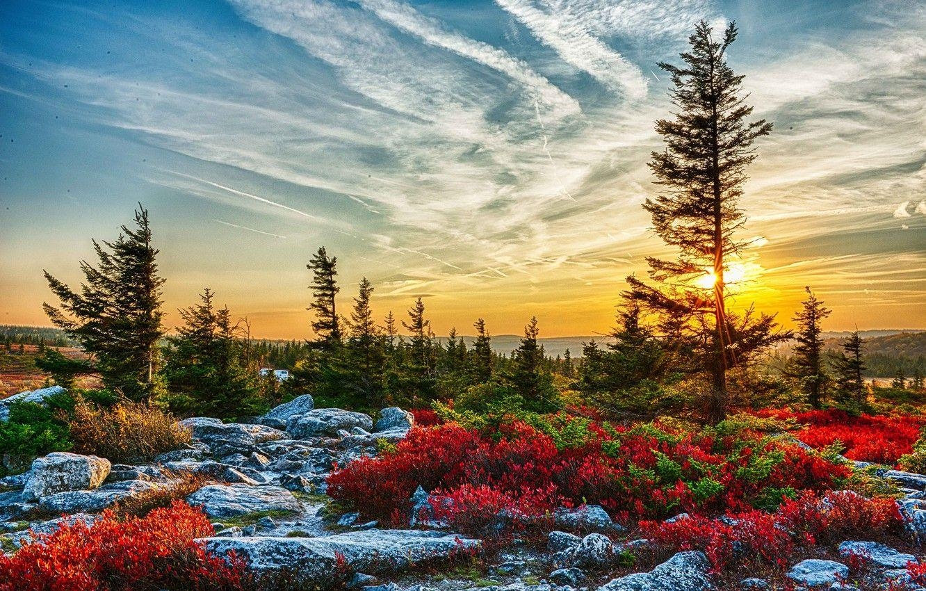 West Virginia, Bäume, Steine, USA, Sonnenstrahlen, 1340x850 HD Desktop