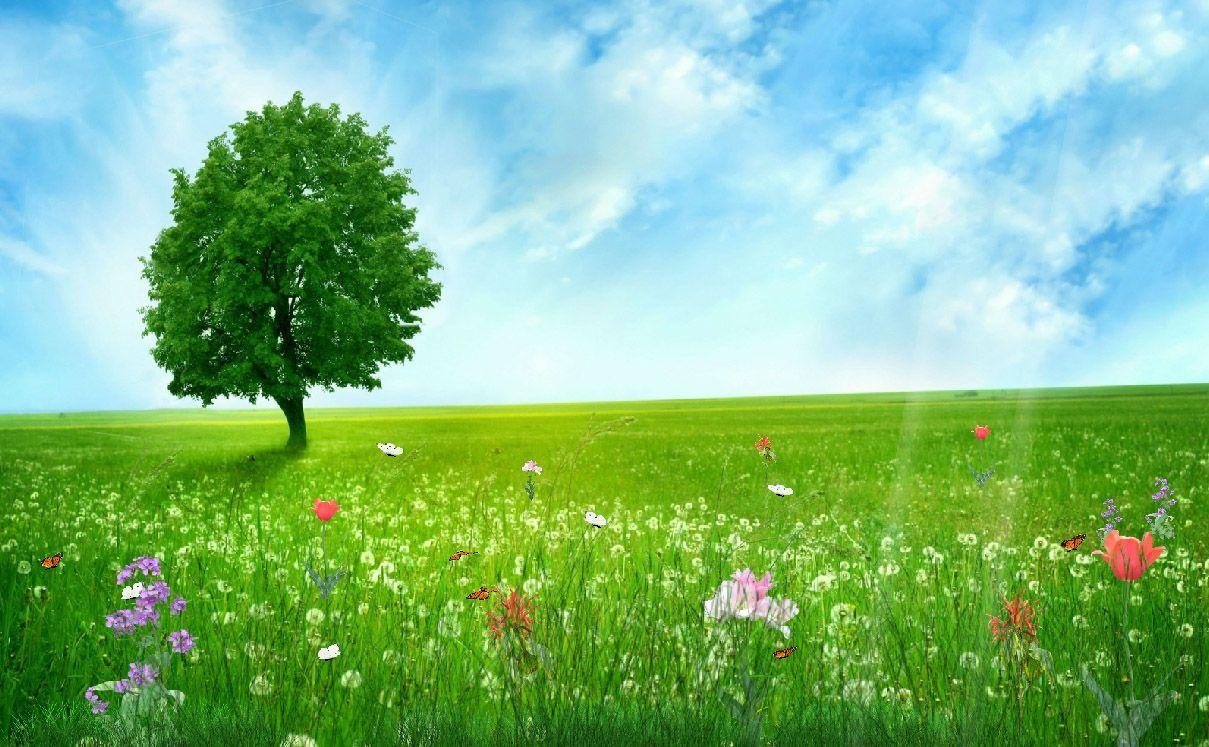 Frühling, Natur, Animiert, Freude, Lebendig, 1210x750 HD Desktop