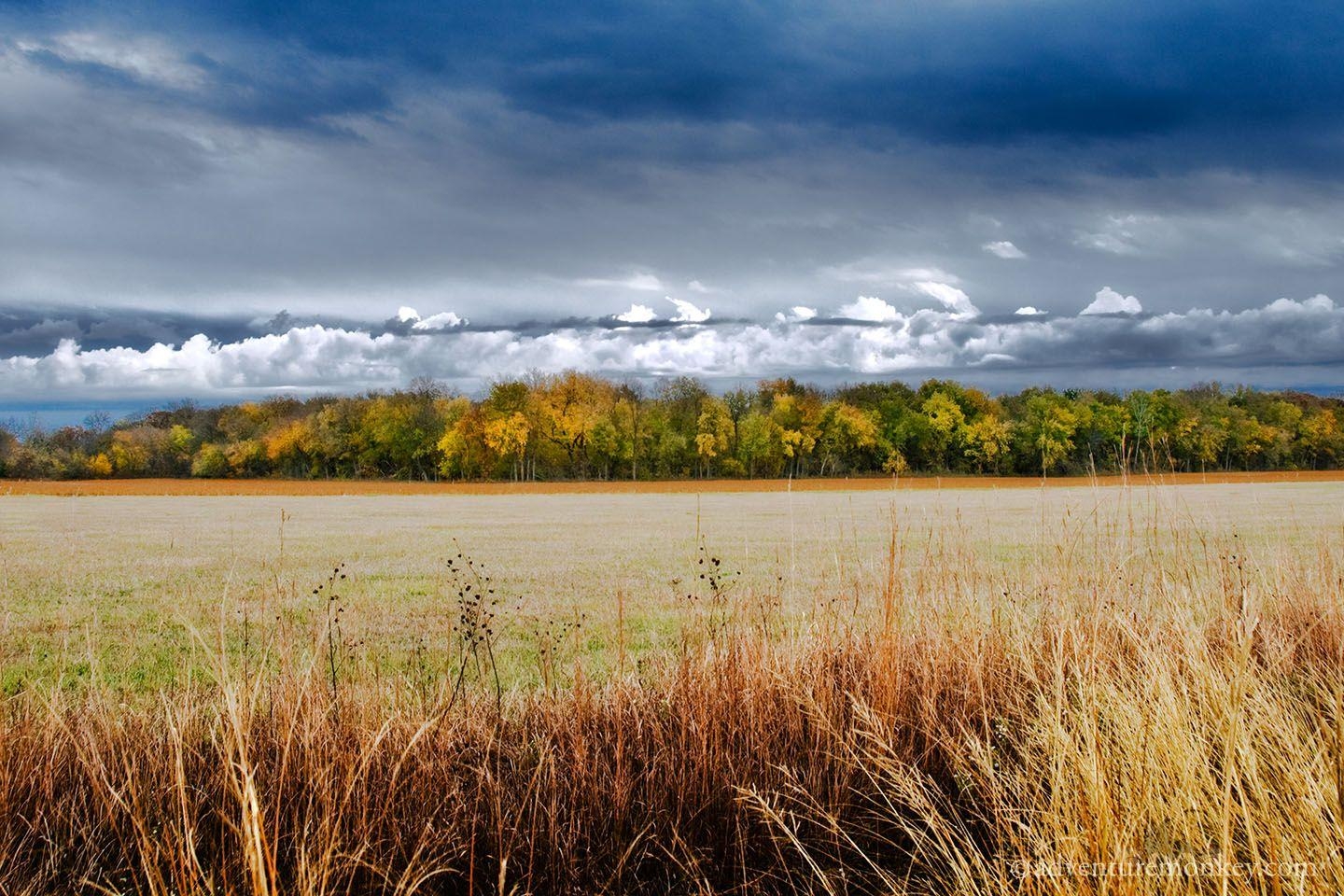 Kansas, Arkansas, Rotwild, Natur, Landschaft, 1440x960 HD Desktop