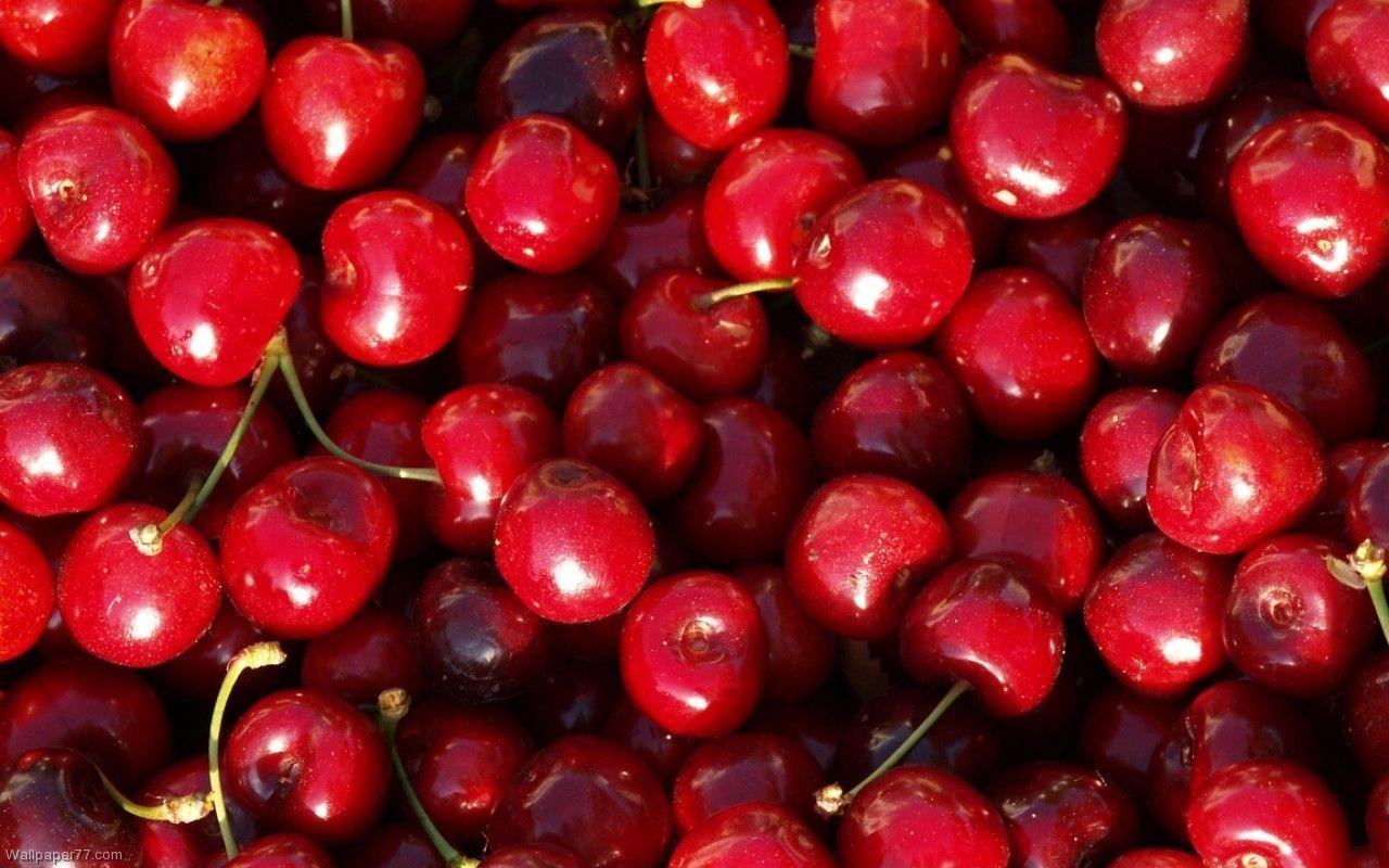 Beeren, Pixel, kostenlos, Download, Hintergrund, 1280x800 HD Desktop