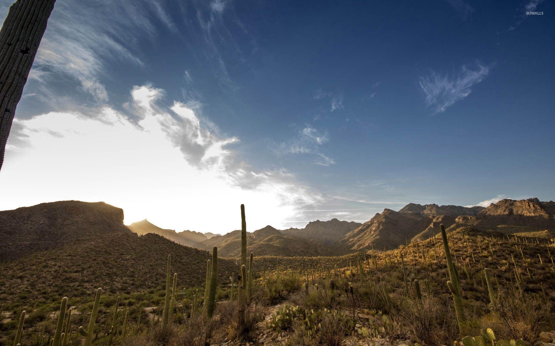 Sabino Canyon, Arizona, Natur, Reisen, Landschaft, 1920x1200 HD Desktop