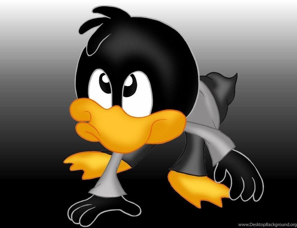 Daffy Duck, Niedlich, Desktop, HD, Bild, 1030x790 HD Desktop