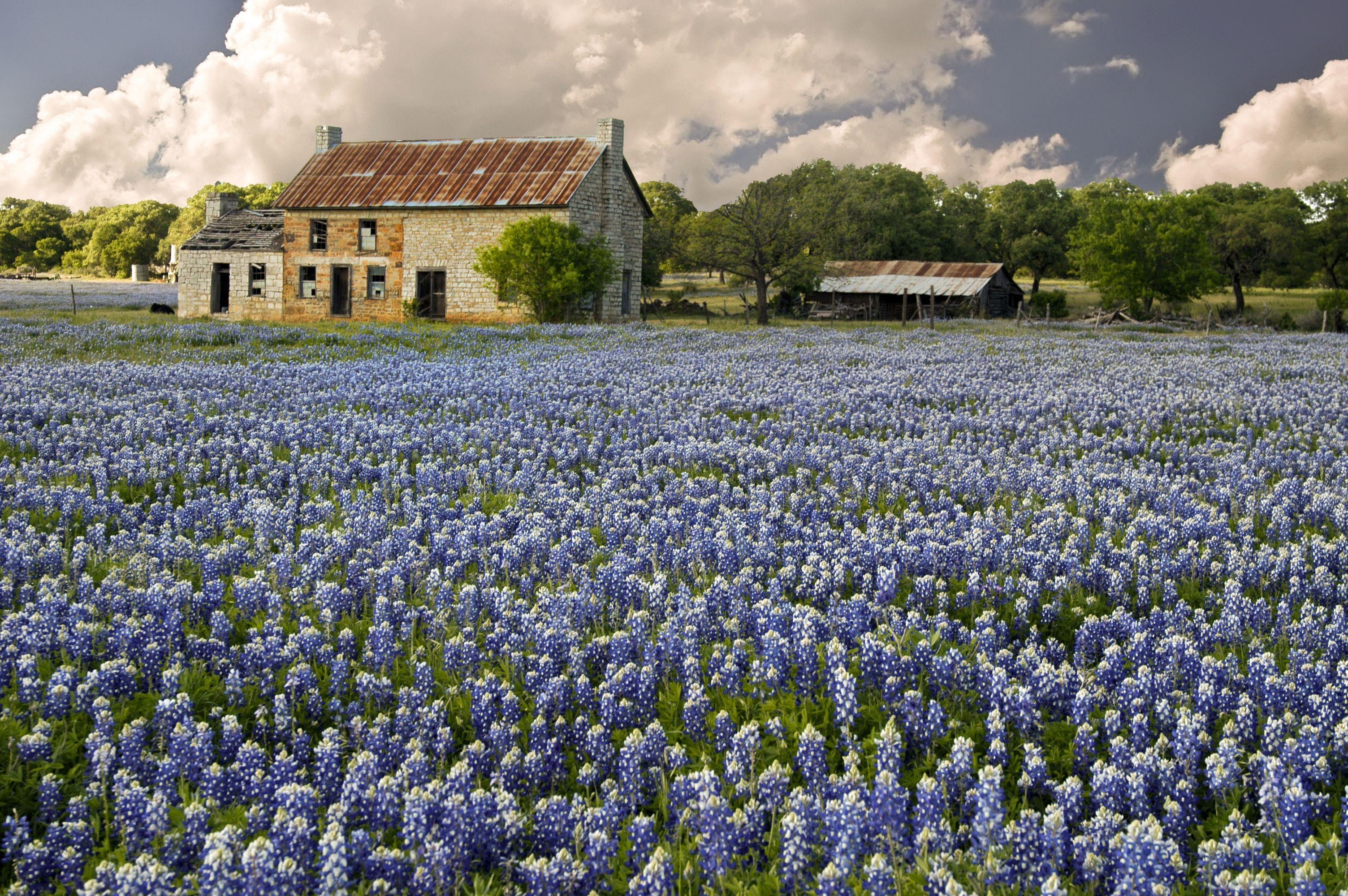 Texas Hill Country, Landschaft, USA, Reisen, Natur, 3010x2000 HD Desktop