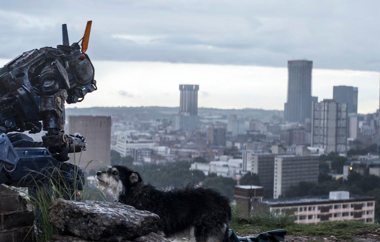 Chappie Roboter, Film, Wunder, futuristisch, Science-Fiction, 1340x850 HD Desktop