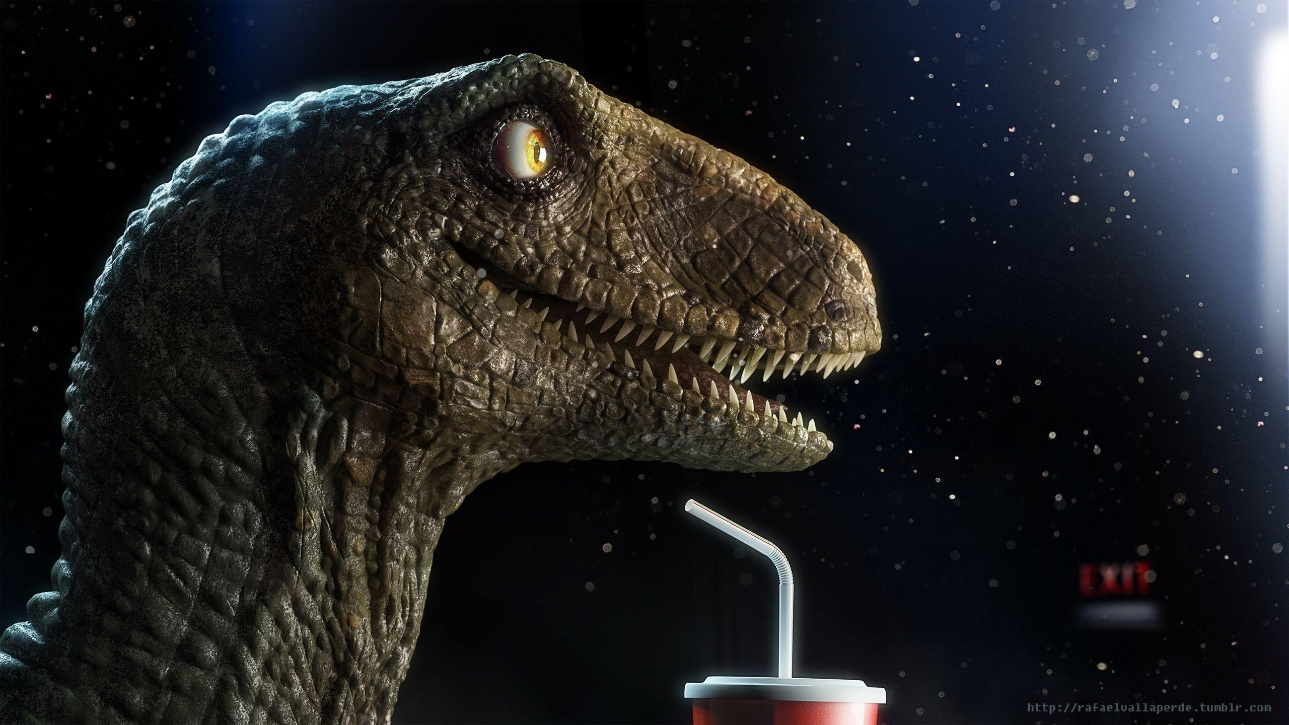 Velociraptor, Hintergrund, HD, Dinosaurier, Prähistorisch, 2560x1440 HD Desktop