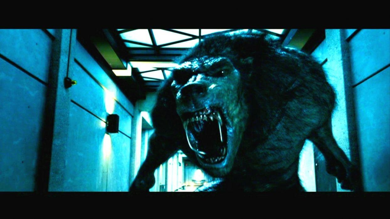 Underworld, Action, Fantasy, Thriller, Werwolf, 1250x700 HD Desktop