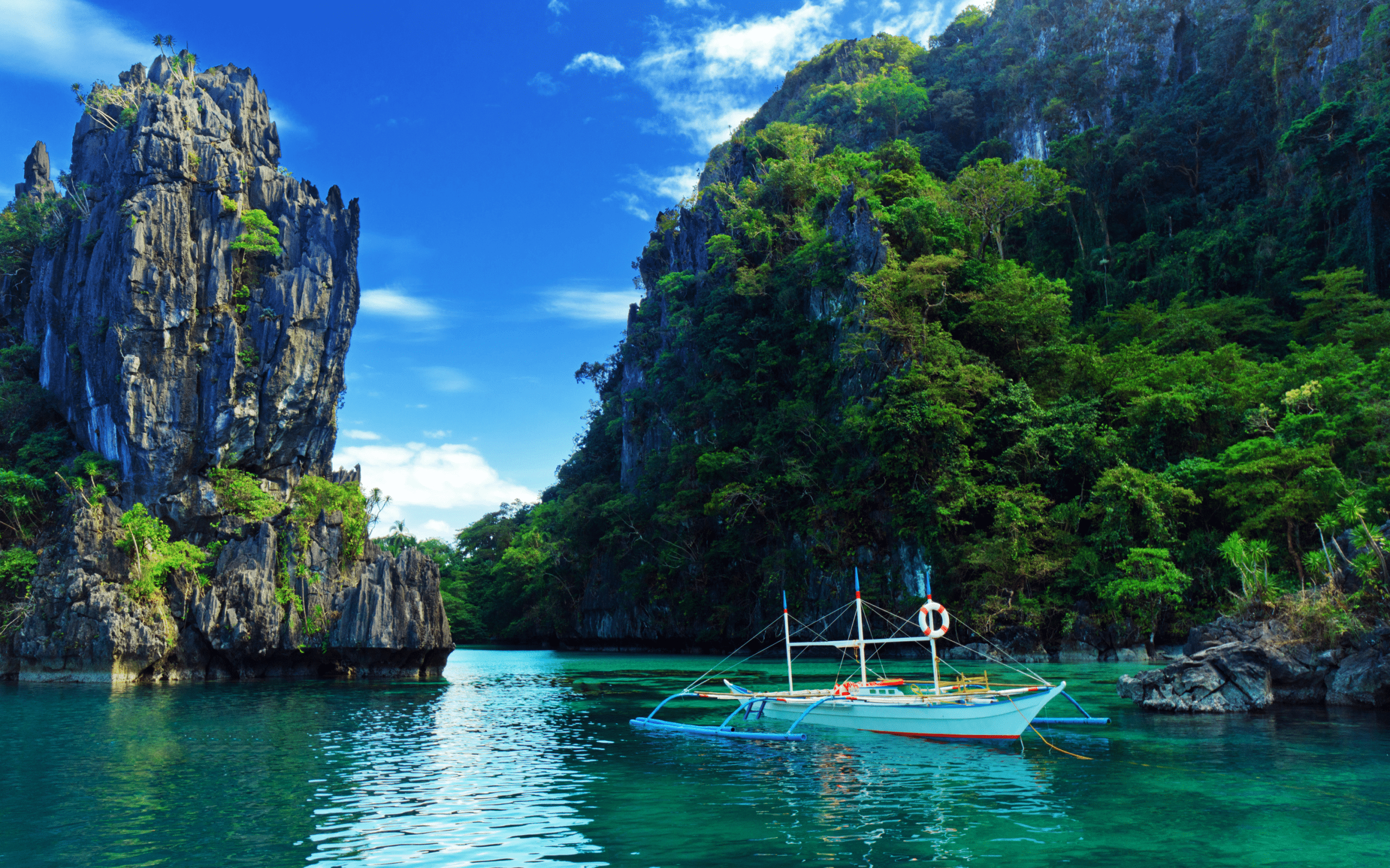 Meer, Baum, Felsen, Boot, Philippinen, 2560x1600 HD Desktop