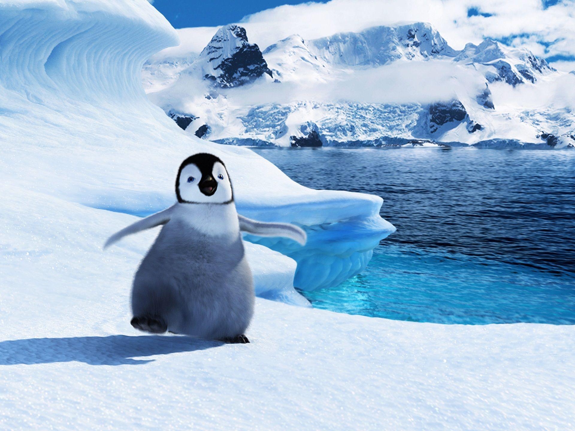 Happy Feet 2, Baby Mumble, Cartoon, Animation, Pinguin, 1920x1440 HD Desktop