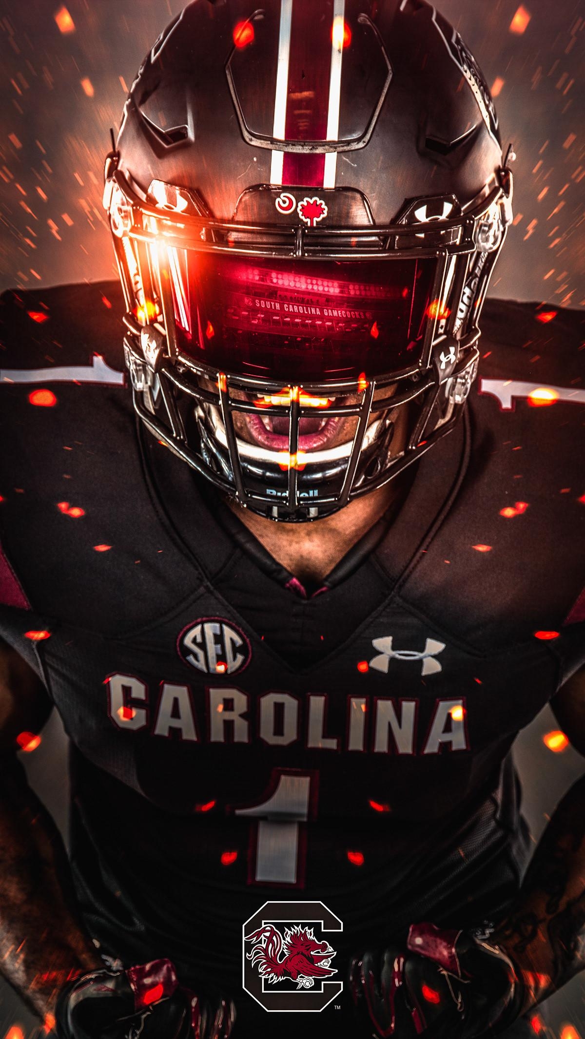 South Carolina Gamecock, Sport, Mannschaft, NCAA, USA, 1200x2140 HD Handy