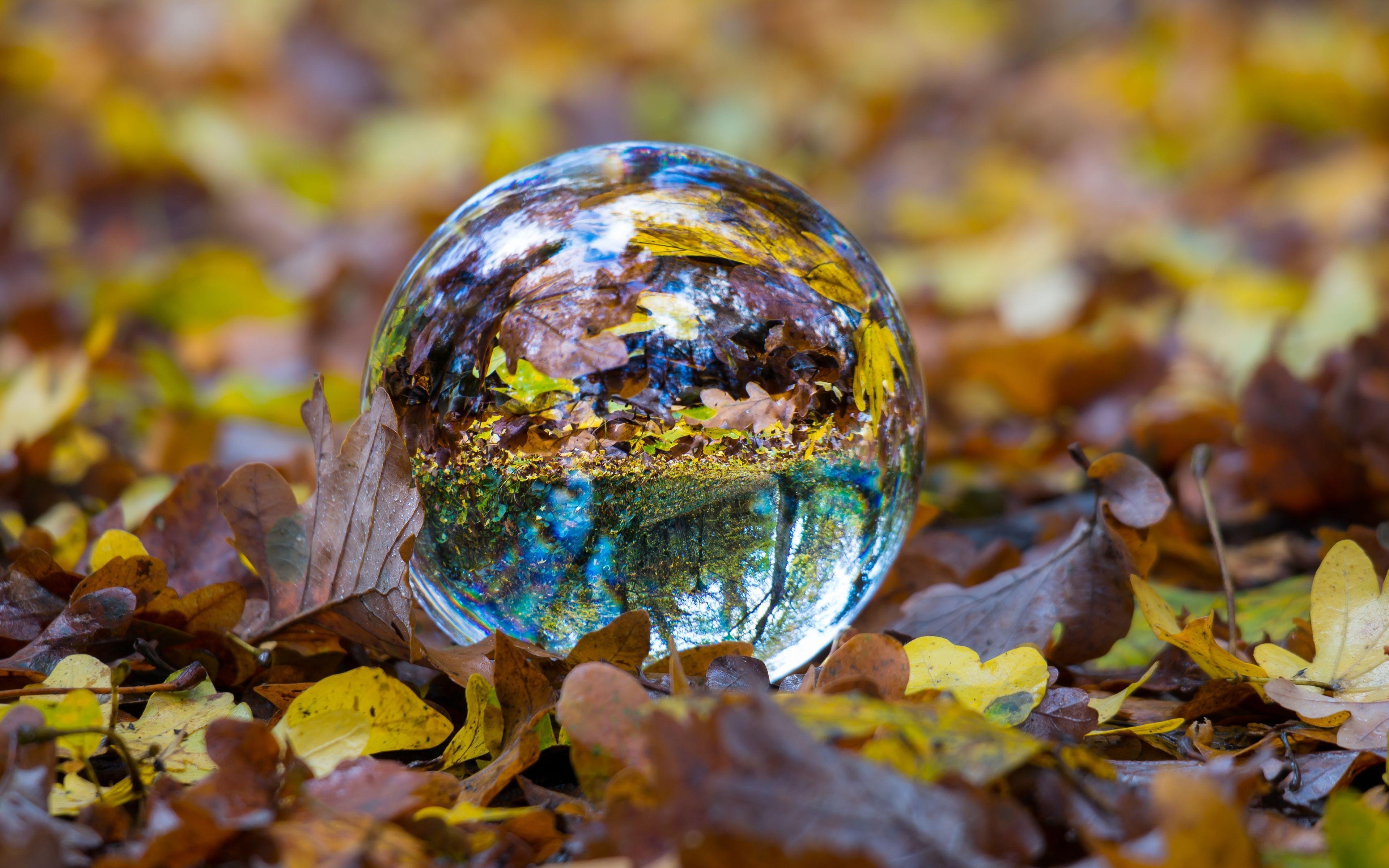 Ball, Glas, Kugel, Herbstlaub, 4K, 3840x2400 4K Desktop