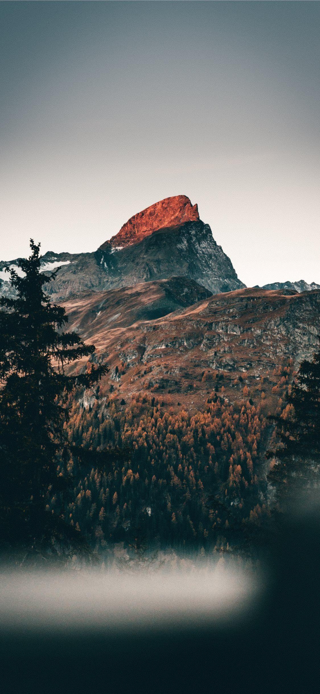 Kalte Morgen, Berge, Winter, iPhone, Landschaft, 1130x2440 HD Handy