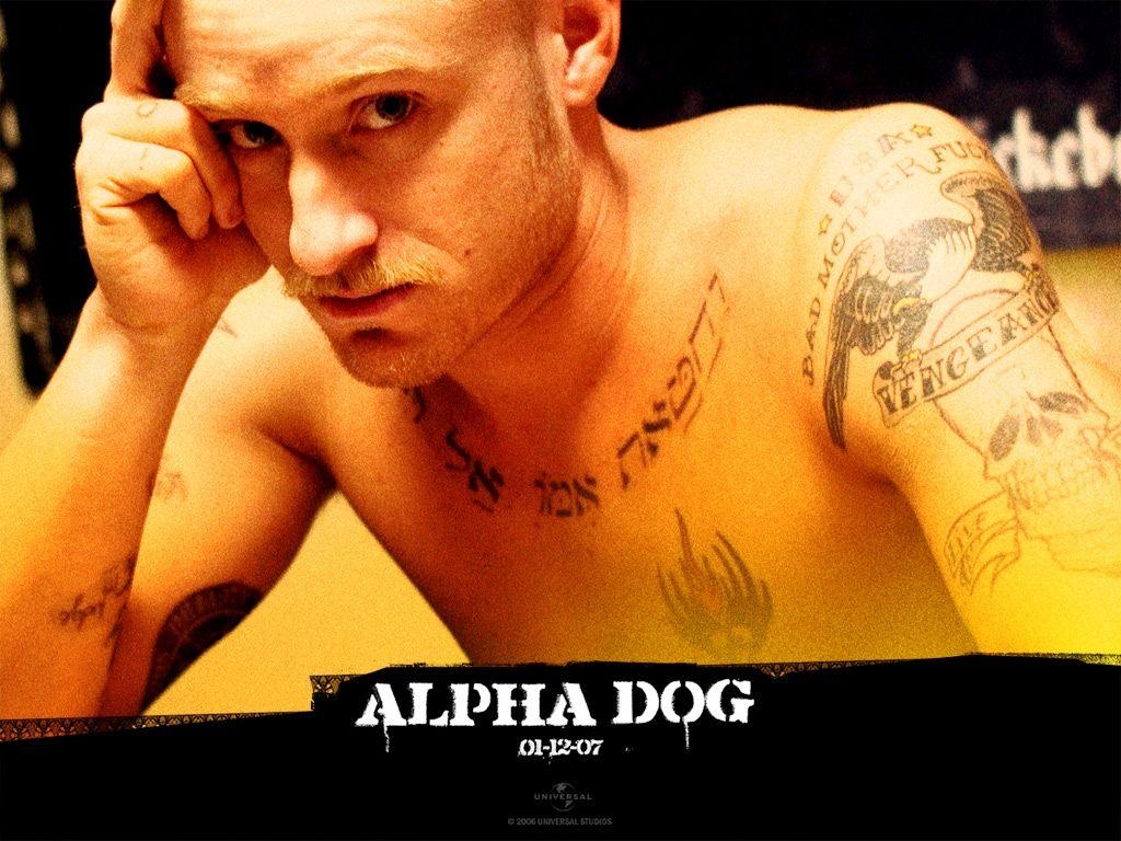 Ben Foster, Alpha Dog, 800x600, Filme, Hintergrund, 1030x770 HD Desktop