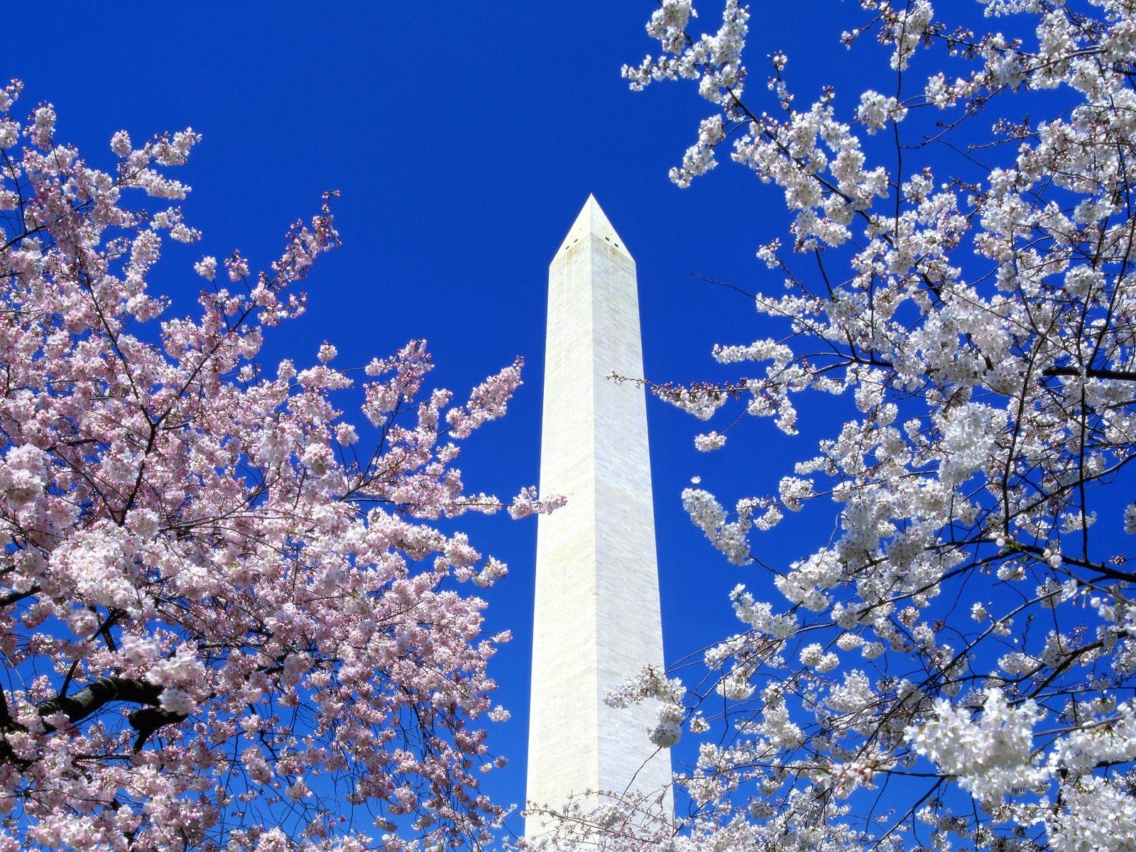 Washington DC, Monumente, Hintergrund, 1200px, Obelisk, 1600x1200 HD Desktop