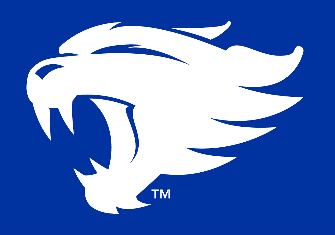 Kentucky Wildcats, Logo, NCAA, Division, Sport, 1080x760 HD Desktop