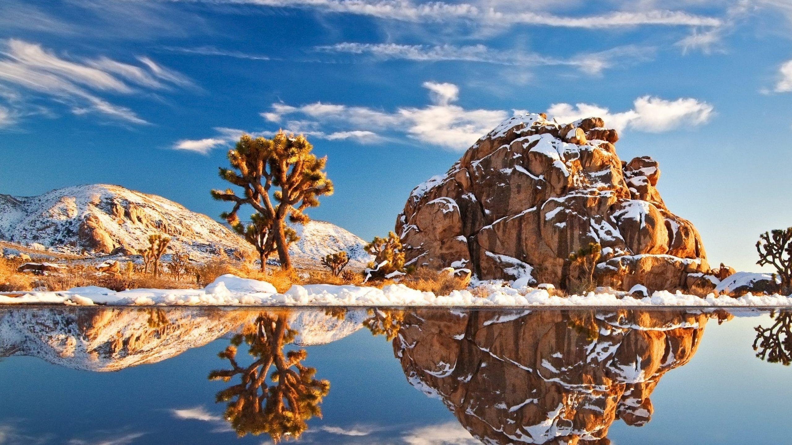 Joshua Tree Park, 2560x1440, Natur, 2560x1440 HD Desktop