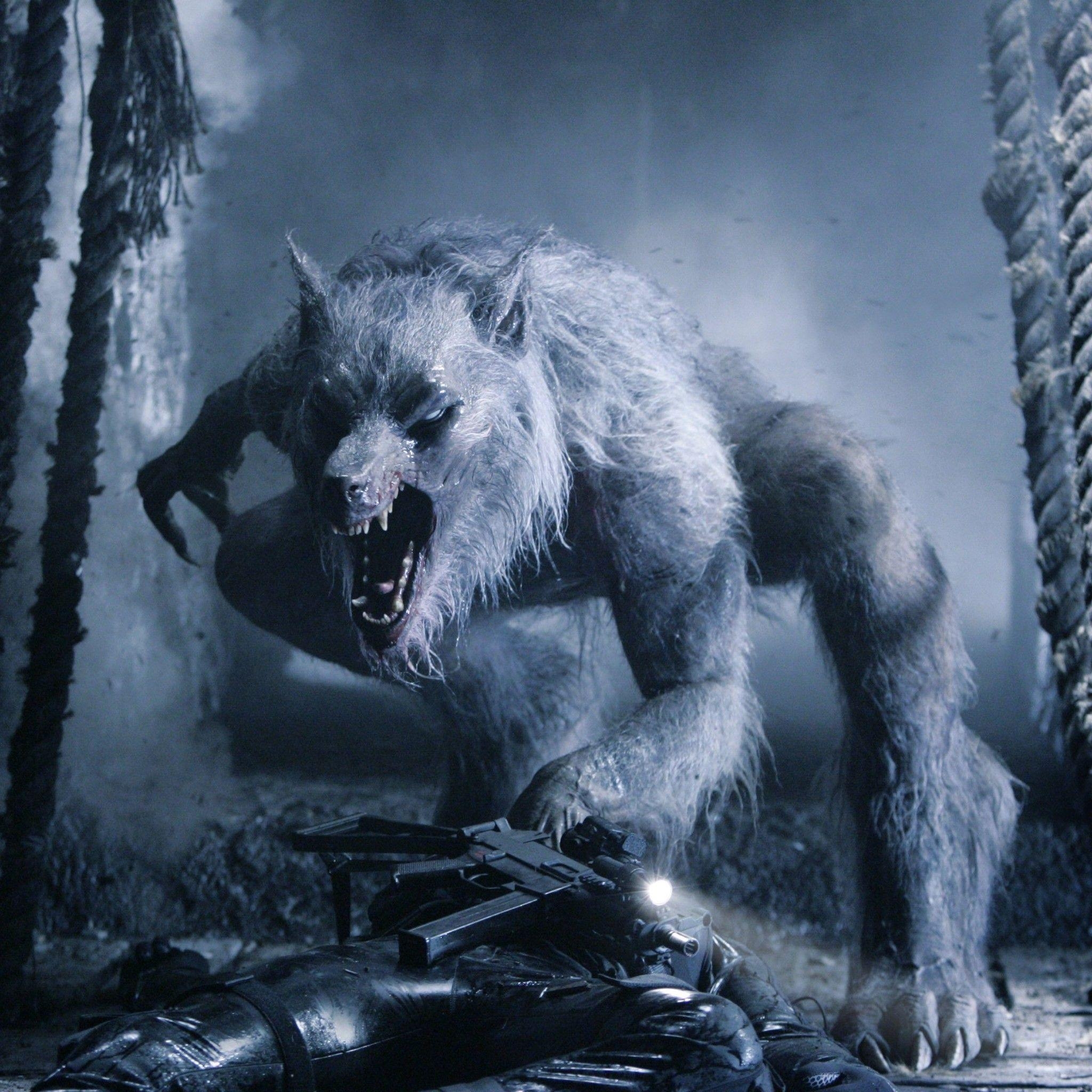 Werwolf, Underworld, Film, Kino, 2048x2048, 2050x2050 HD Handy