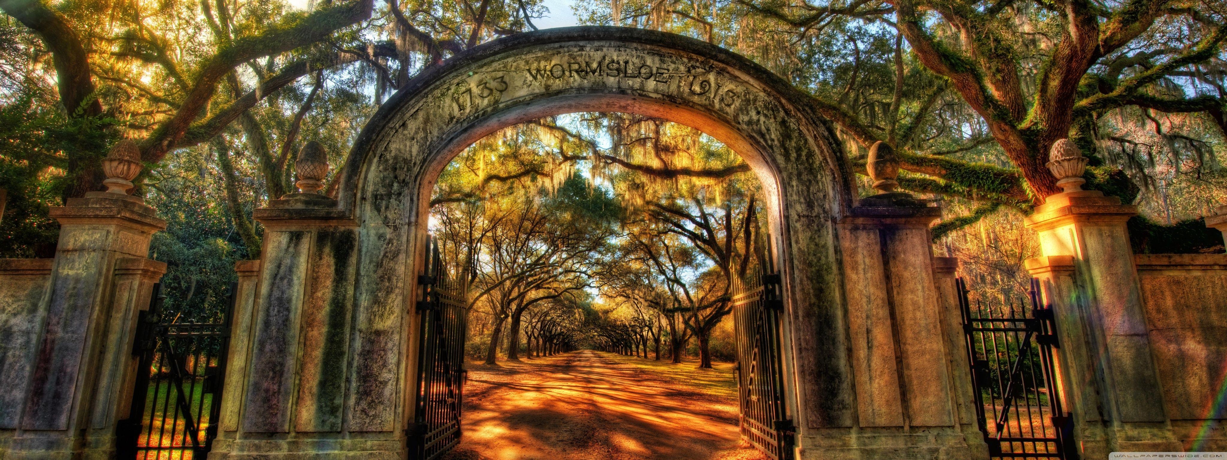 Wormsloe, Savannah, Landschaft, Südstaaten, Fotomotiv, 4100x1540 Dual Screen Desktop