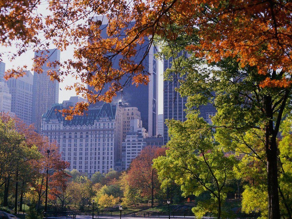 Central Park, Bild, HD, Hintergrund, Fotografie, 1030x770 HD Desktop