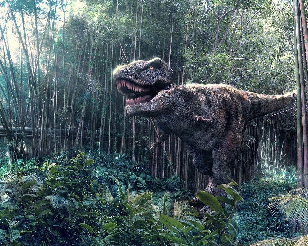 Trex, Jurassic World, Dinosaurier, Zeitgenössisch, Hintergrund, 1280x1030 HD Desktop