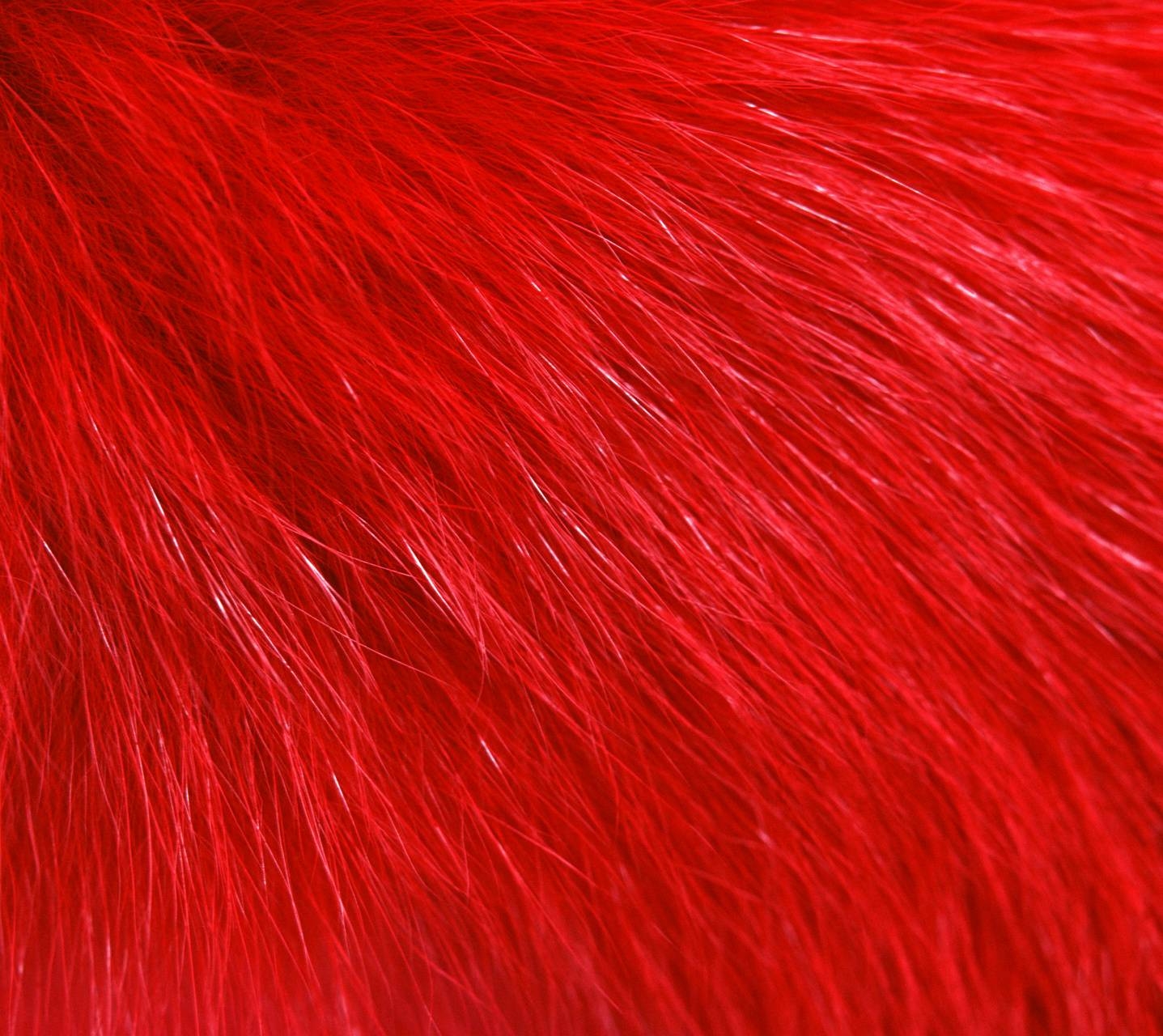 Rotes Fell, edel, auffällig, Hintergrund, 1440x1280 HD Desktop