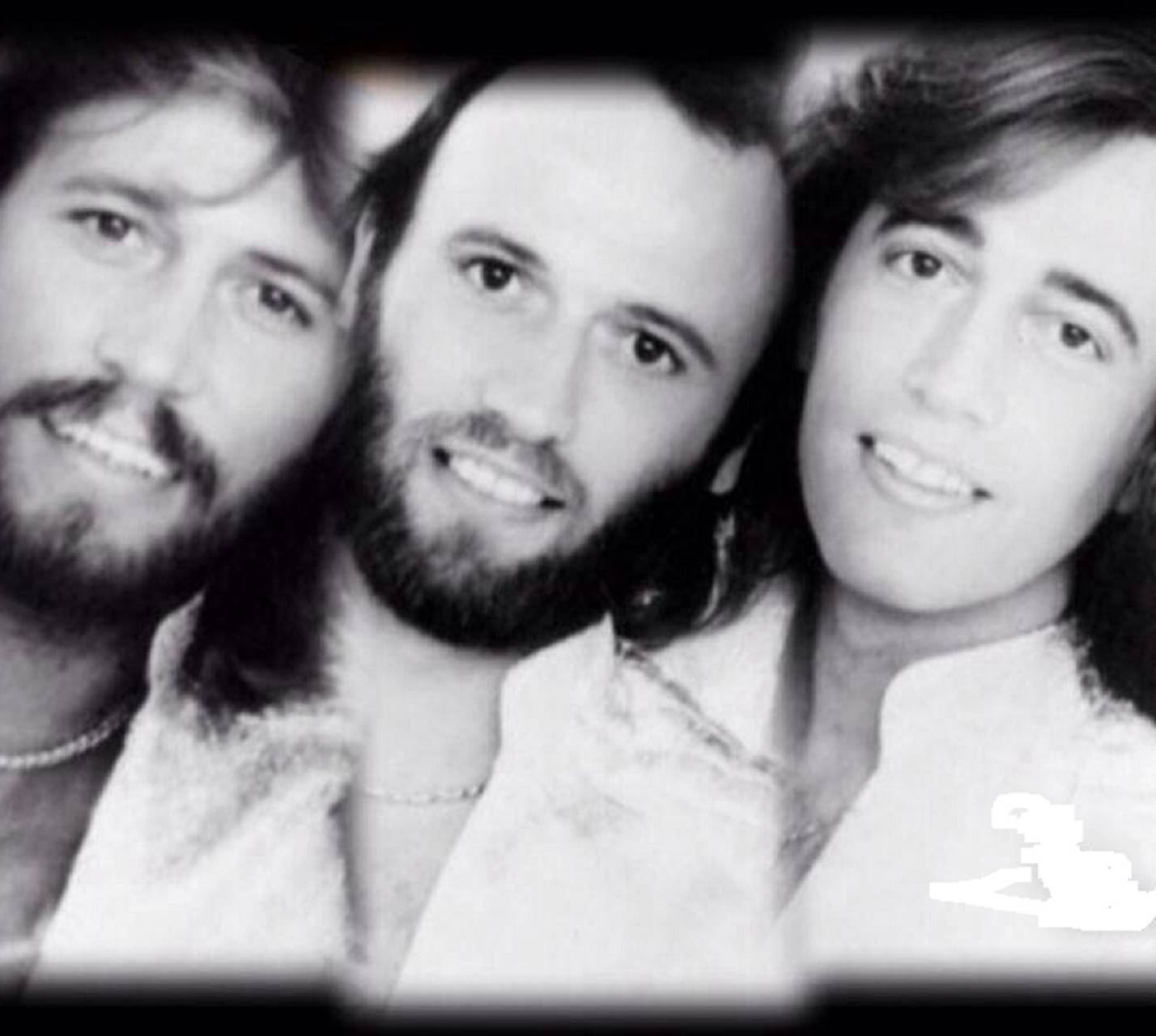 Bee Gees, Musik, Nummer 1, Klassiker, Brüder, 1430x1280 HD Desktop