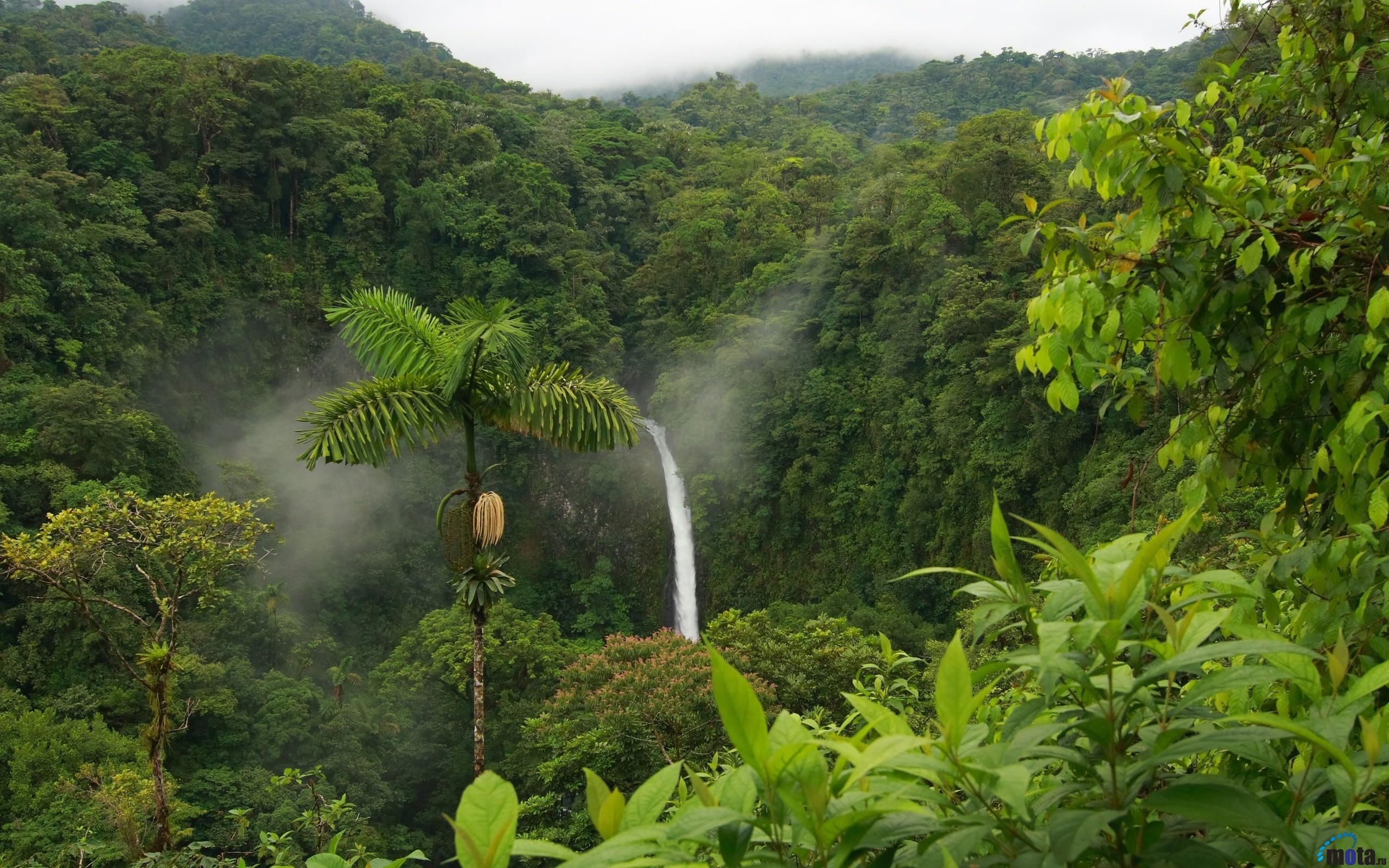 Costa Rica, Reisen, Natur, Tropen, Urlaub, 2560x1600 HD Desktop