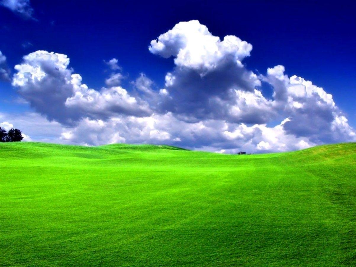 Windows, Grüner Rasen, Hintergrund, Natur, 1210x910 HD Desktop