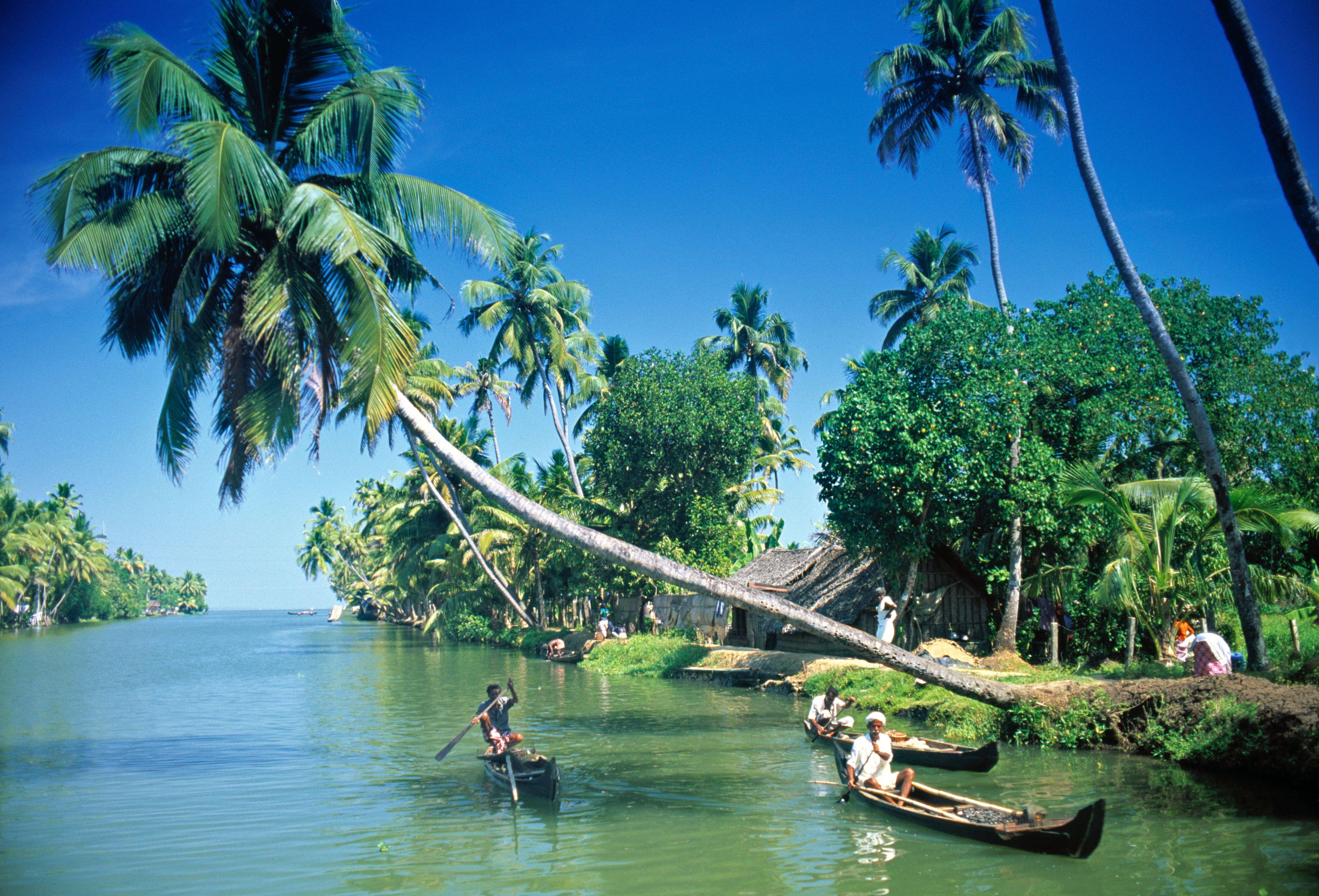 Kerala, Desktop, Natur, Indien, Hintergrund, 4250x2890 4K Desktop