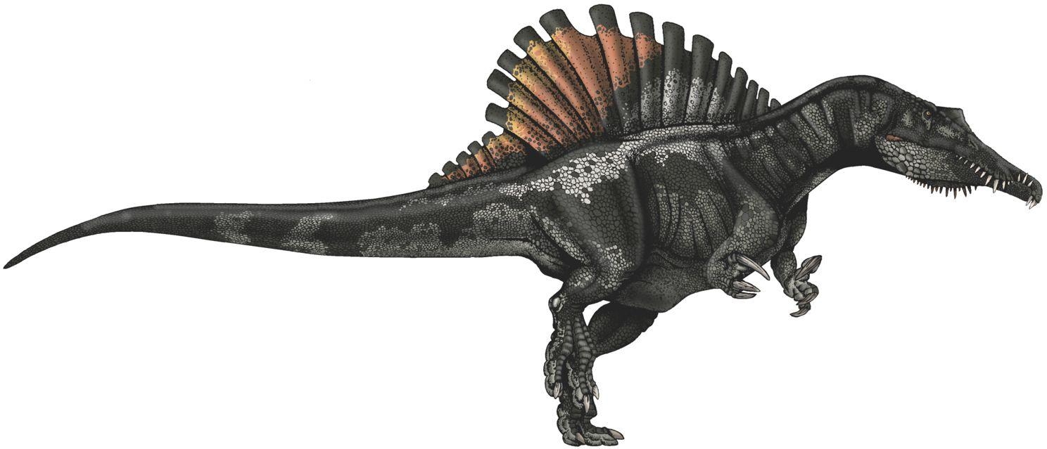 Spinosaurus, prähistorisch, Dinosaurier, Tiere, Historisches, 1490x640 Dual Screen Desktop