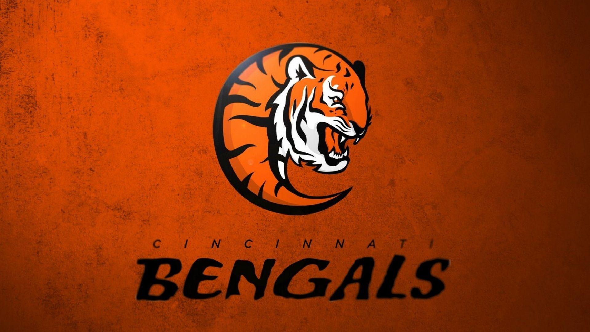 Cincinnati Bengals, NFL, HD Fussball, Sport, Hintergrund, 1920x1080 Full HD Desktop