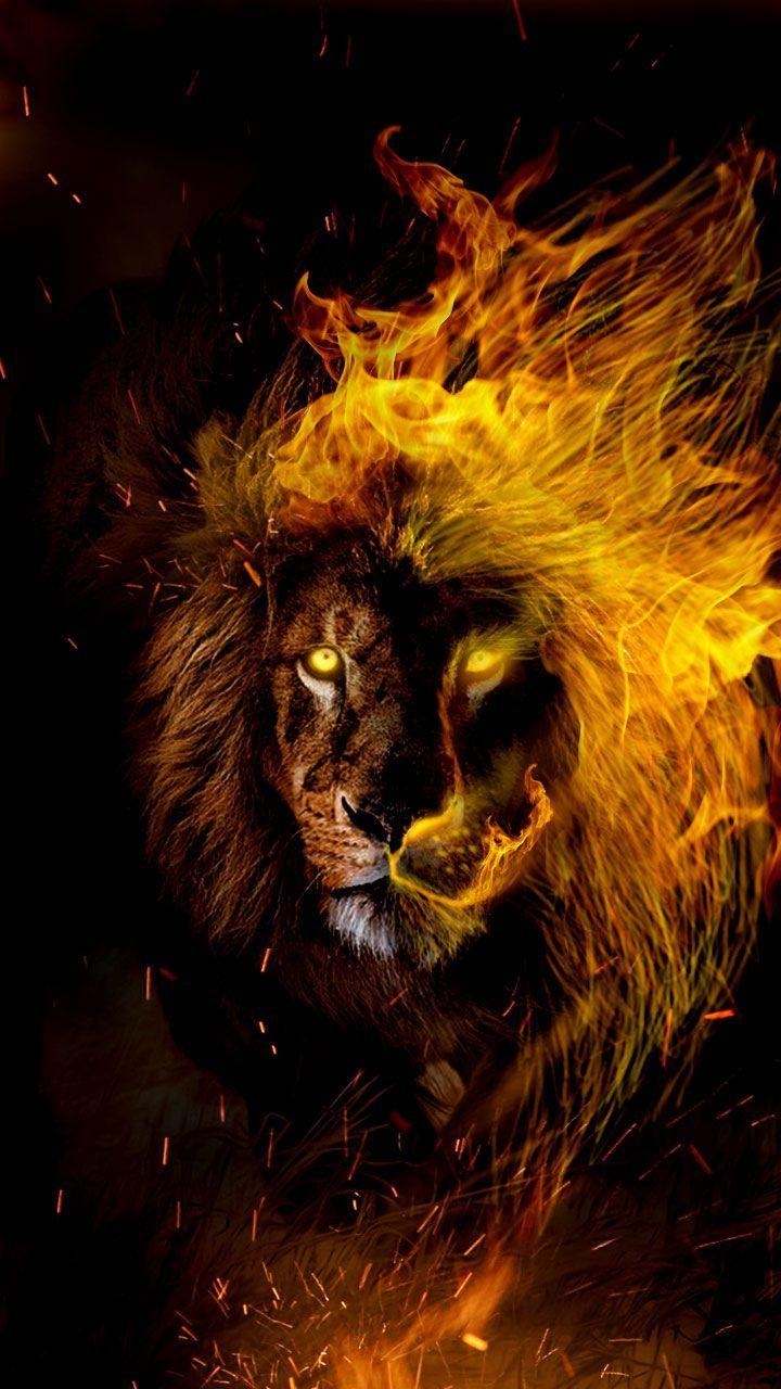 Leo, in Flammen, Löwen, Wallpaper, Sternbild, 720x1280 HD Handy