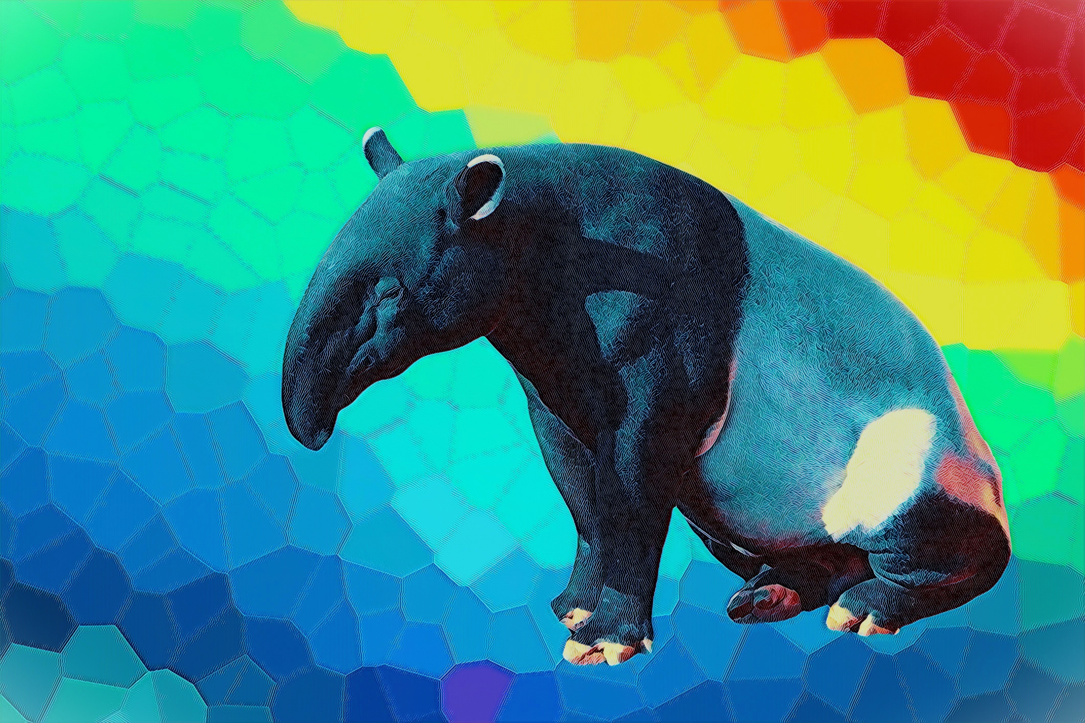 Tapir, Regenbogen, Erinnerung, Identität, Mut, 4250x2830 4K Desktop