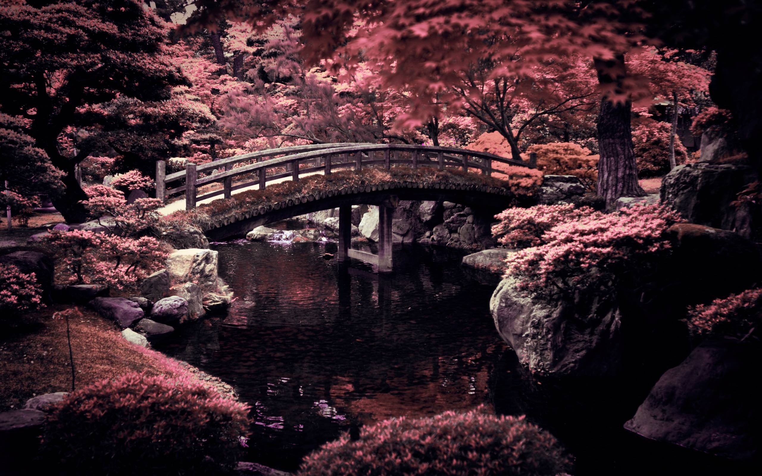 Kyoto, Japan, Bild, Hintergrund, Reisen, 2560x1600 HD Desktop