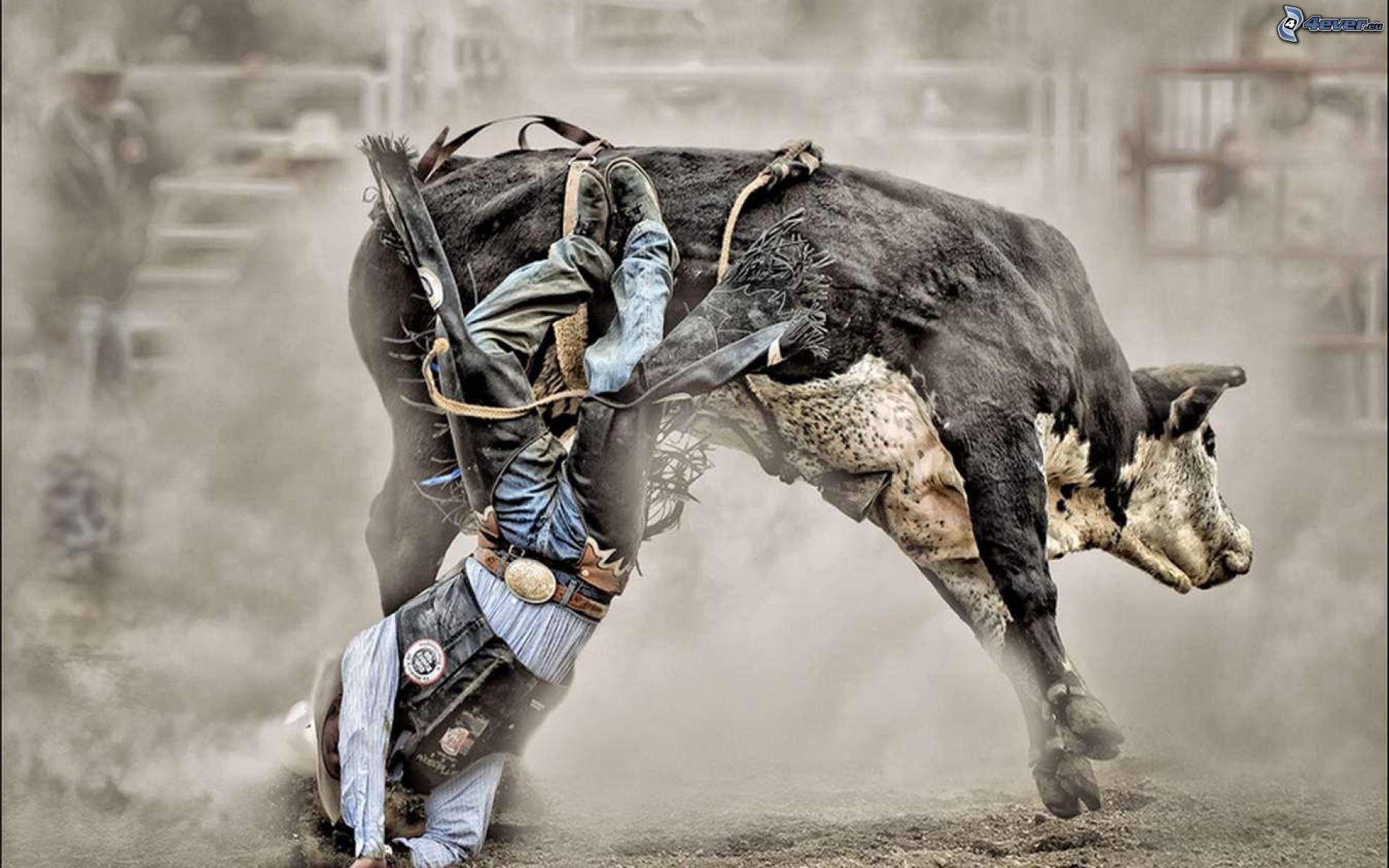 Rodeo, Bild, 3x1200, Hintergrund, Sport, 1920x1200 HD Desktop