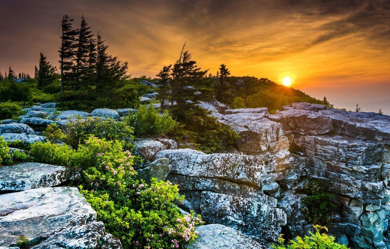 Sonnenuntergang, Bäume, West Virginia, USA, Landschaft, 1340x850 HD Desktop