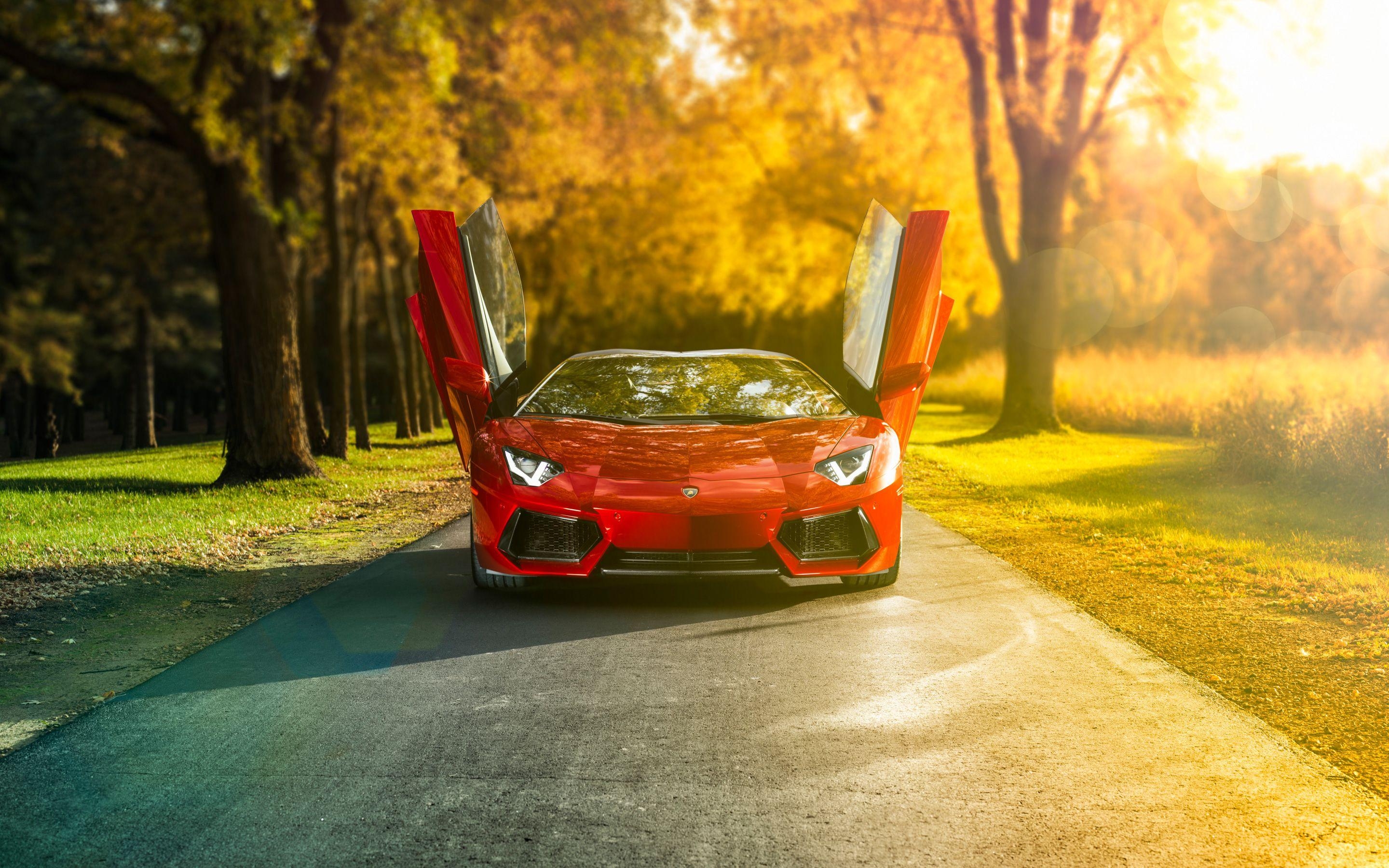 Lamborghini Aventador, Roadster, Sportwagen, Bild, Fahrspaß, 2880x1800 HD Desktop