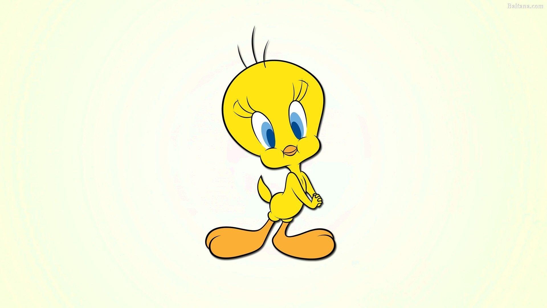 Baby Looney Tunes, Cartoon, LisaWatch, Comic, Galerie, 1920x1080 Full HD Desktop