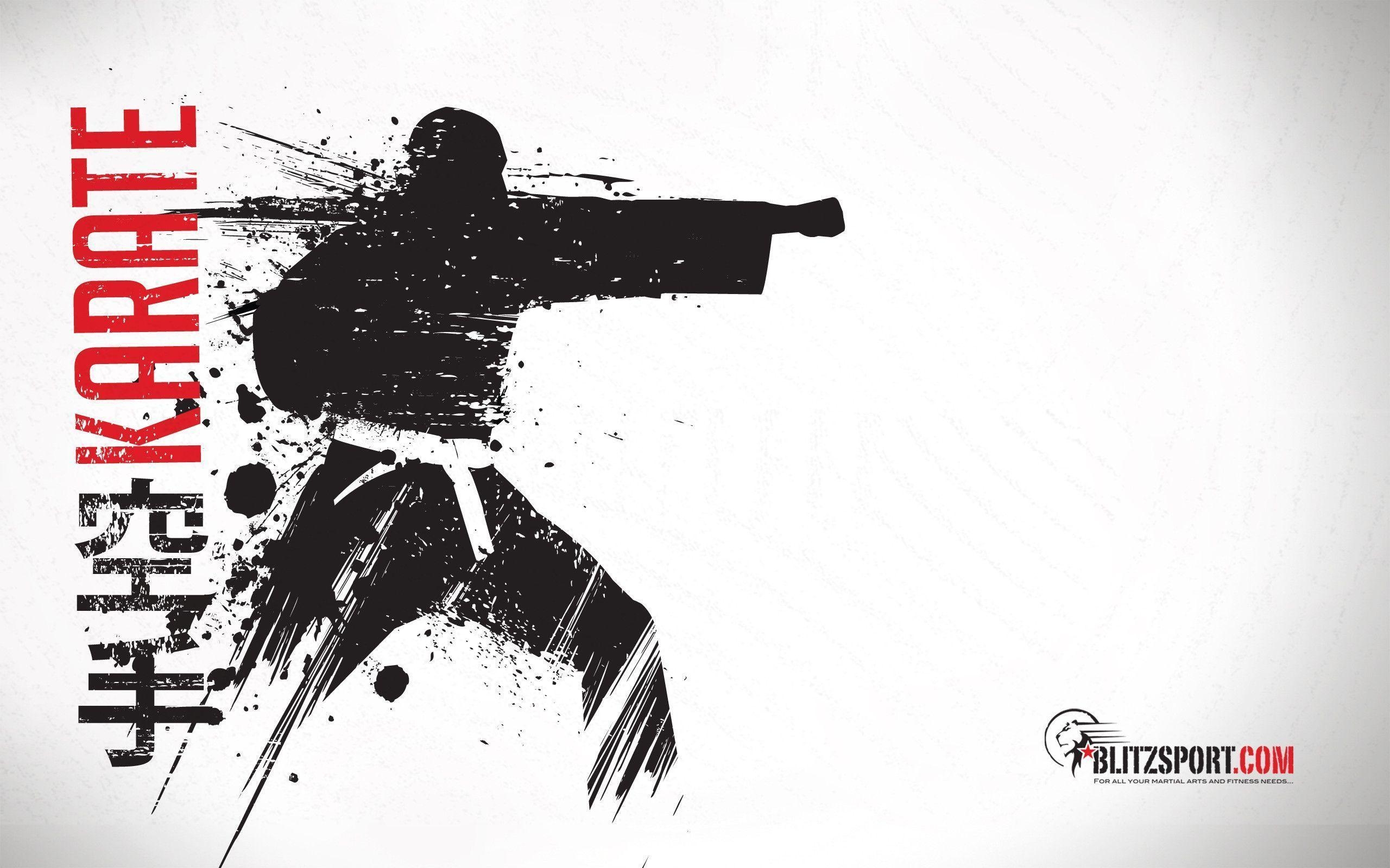 Karate, Sport, Bild, Kampfkunst, Hintergrund, 2560x1600 HD Desktop