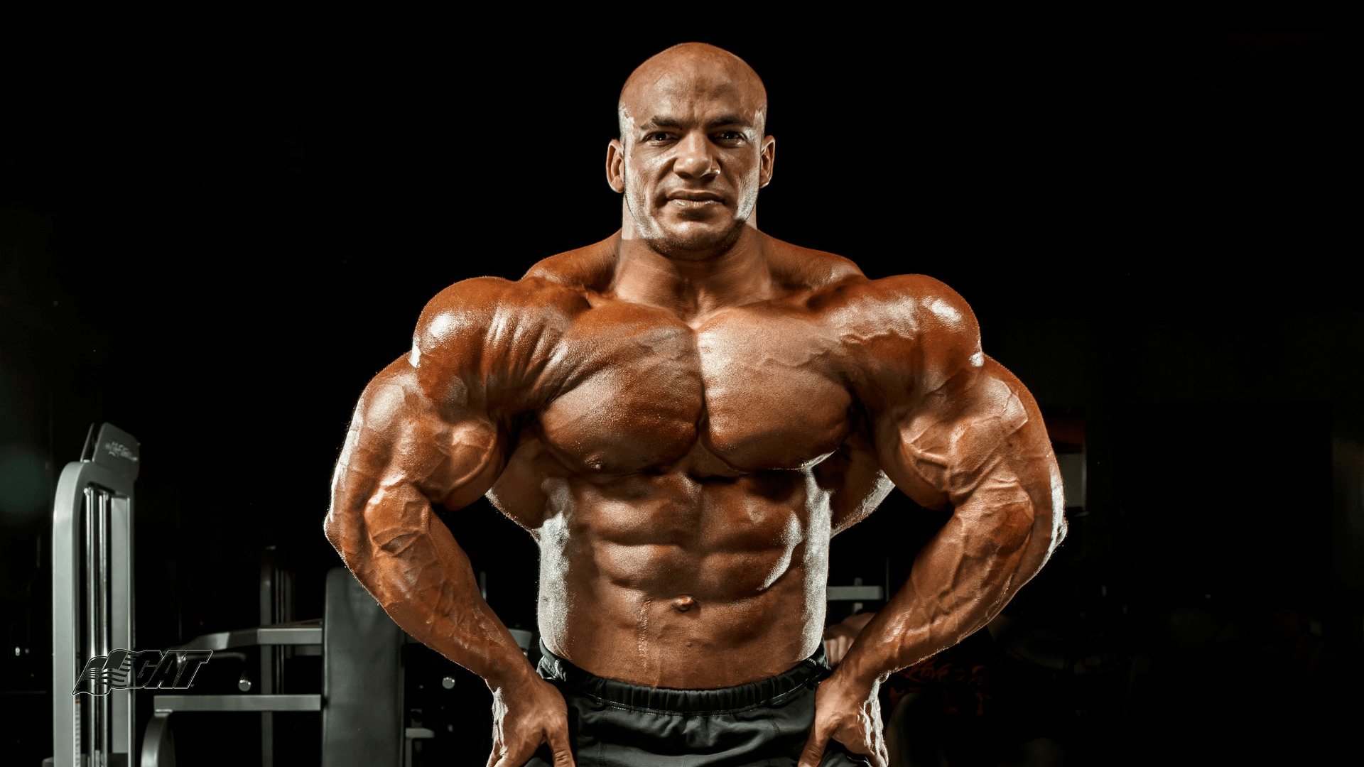 Bodybuilding, kostenlos, Bild, Sport, Fitness, 1920x1080 Full HD Desktop