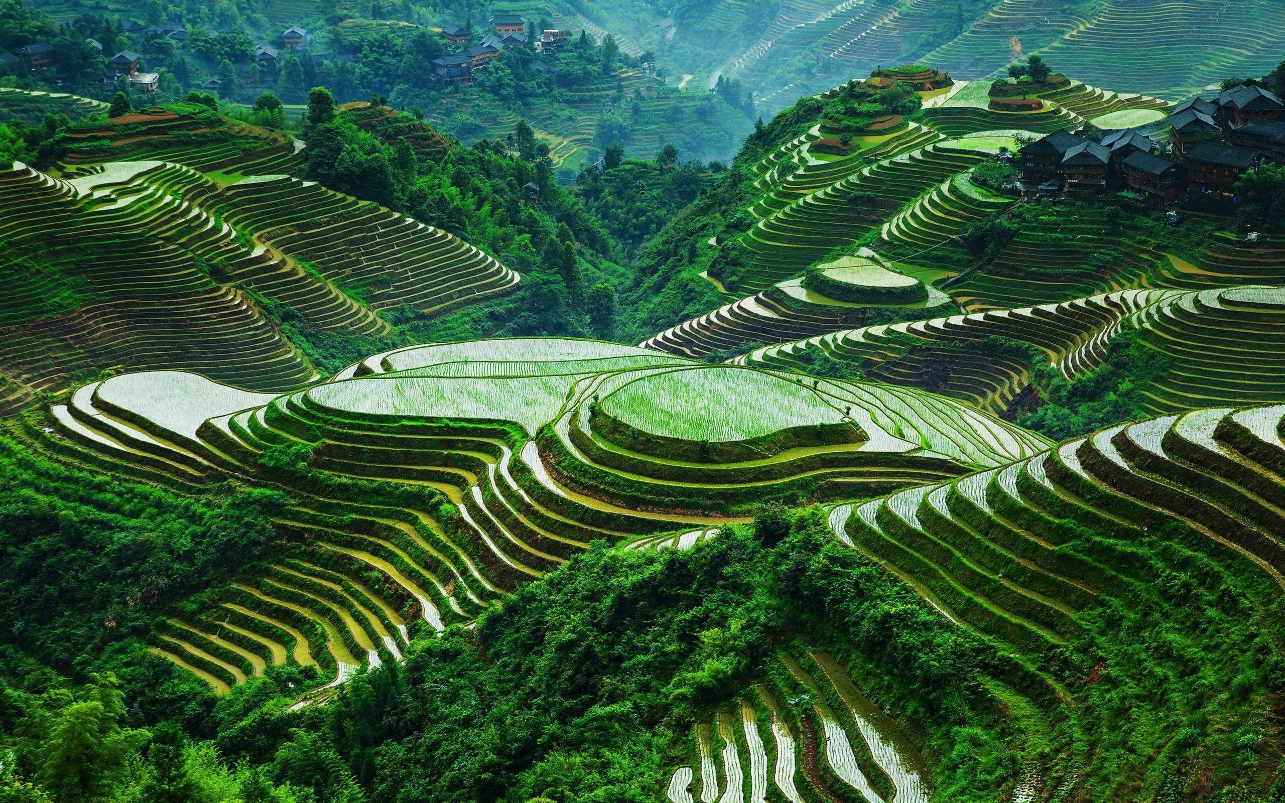 Banaue, Reisterrassen, Weltwunder, 007, 118, 2560x1600 HD Desktop