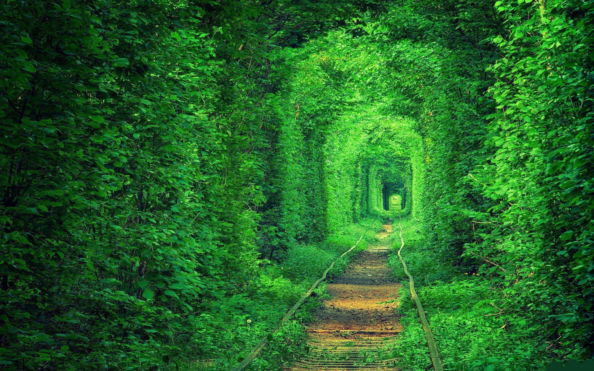 Ukraine Reisen, Tunnel der Liebe, HD, 1920x1200 HD Desktop