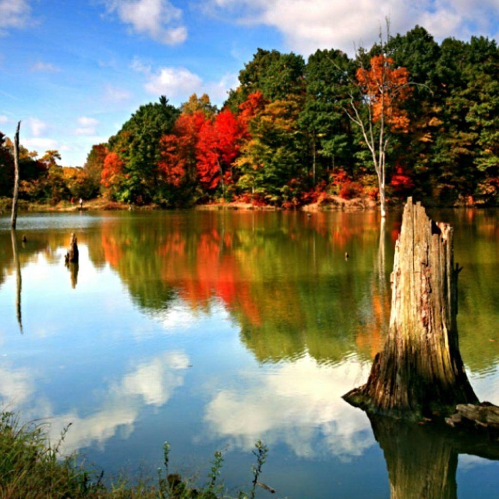 Herbst, Alum Creek, Delaware, Park, Fotografie, 1030x1030 HD Handy