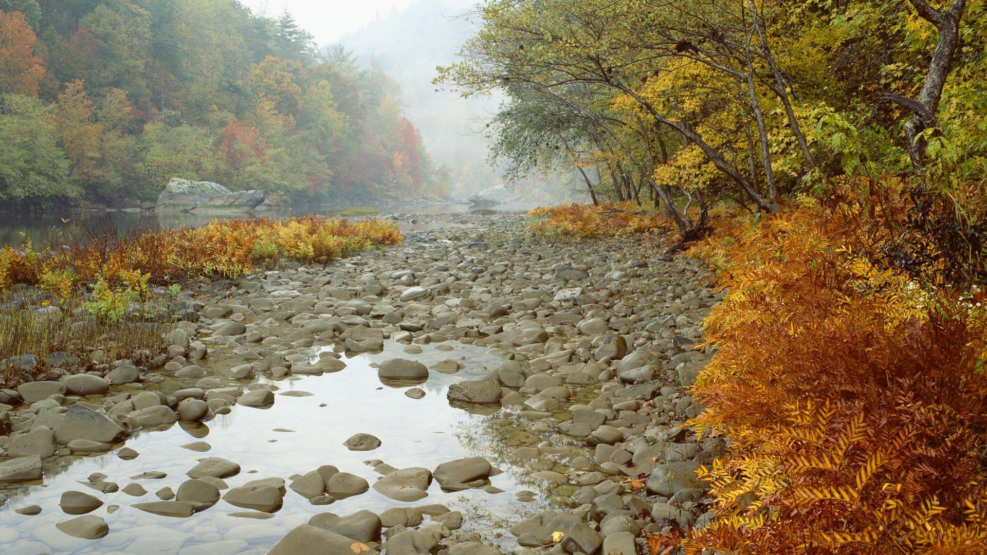 Tennessee, Bildschirmschoner, Galerie, südliche USA, 1920x1080 Full HD Desktop