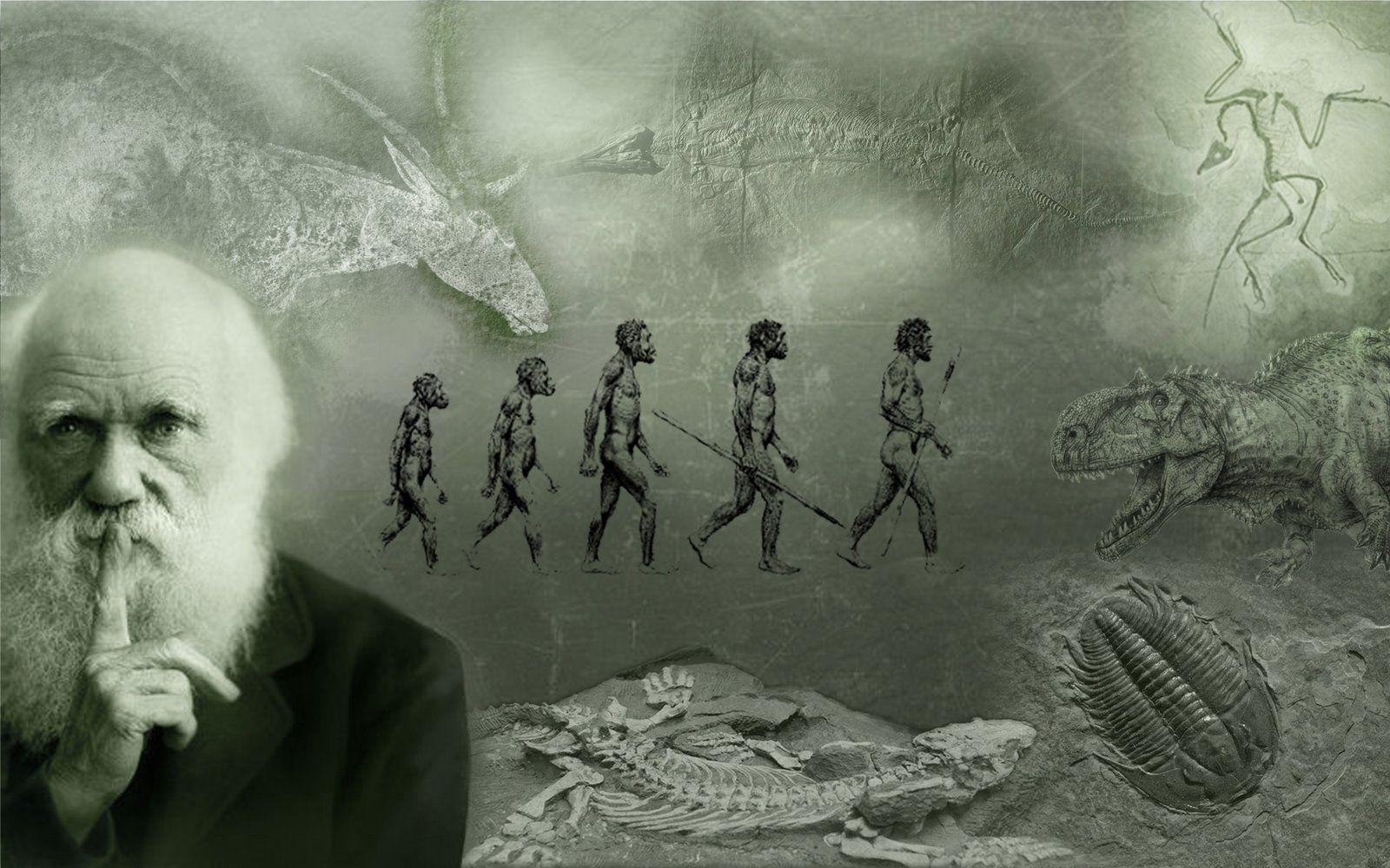 Charles Darwin, Wissenschaftliche Darstellung, Wallpaper, Geschichte, 1600x1000 HD Desktop