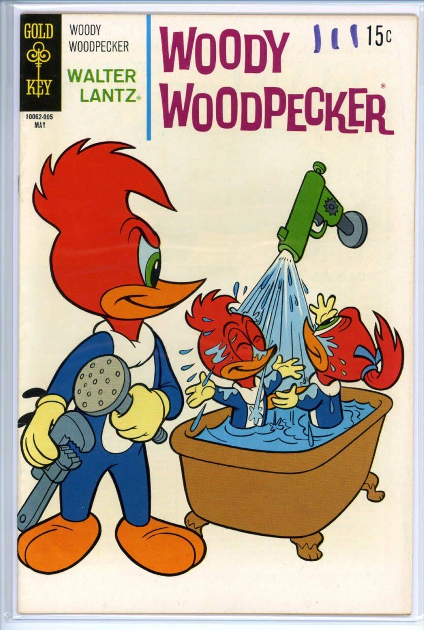 Woody Woodpecker, Cartoon, Bild, Spaß, Animiert, 870x1280 HD Handy