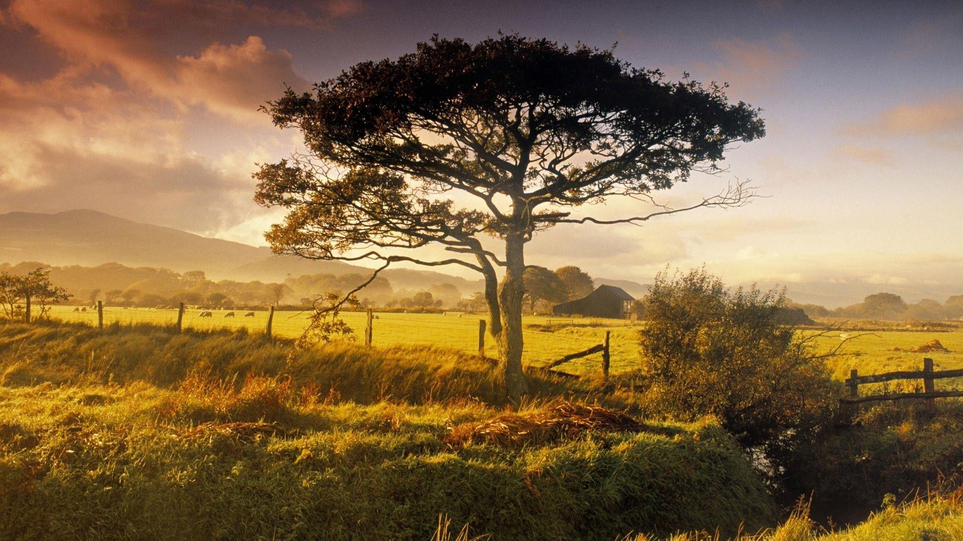 Harlech, Nordwales, Landschaft, Vereinigtes Königreich, Natur, 1920x1080 Full HD Desktop