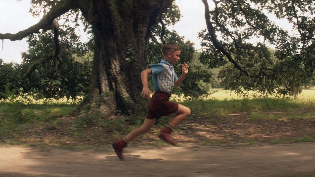 Forrest Gump, Komödie, Drama, Film, 90er Jahre, 1250x700 HD Desktop