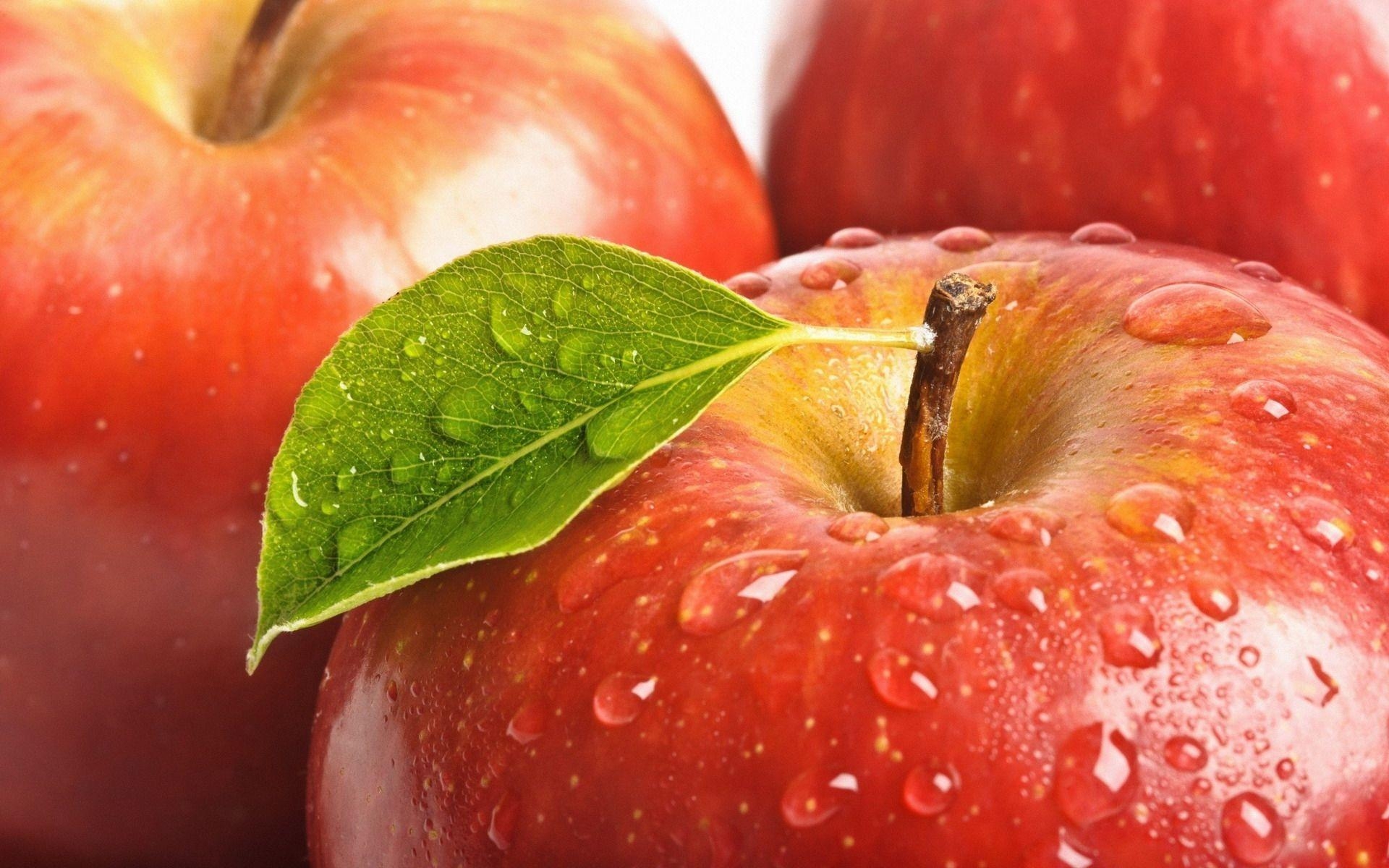 Apfel, Früchte, Lebensmittel, Natur, Farben, 1920x1200 HD Desktop