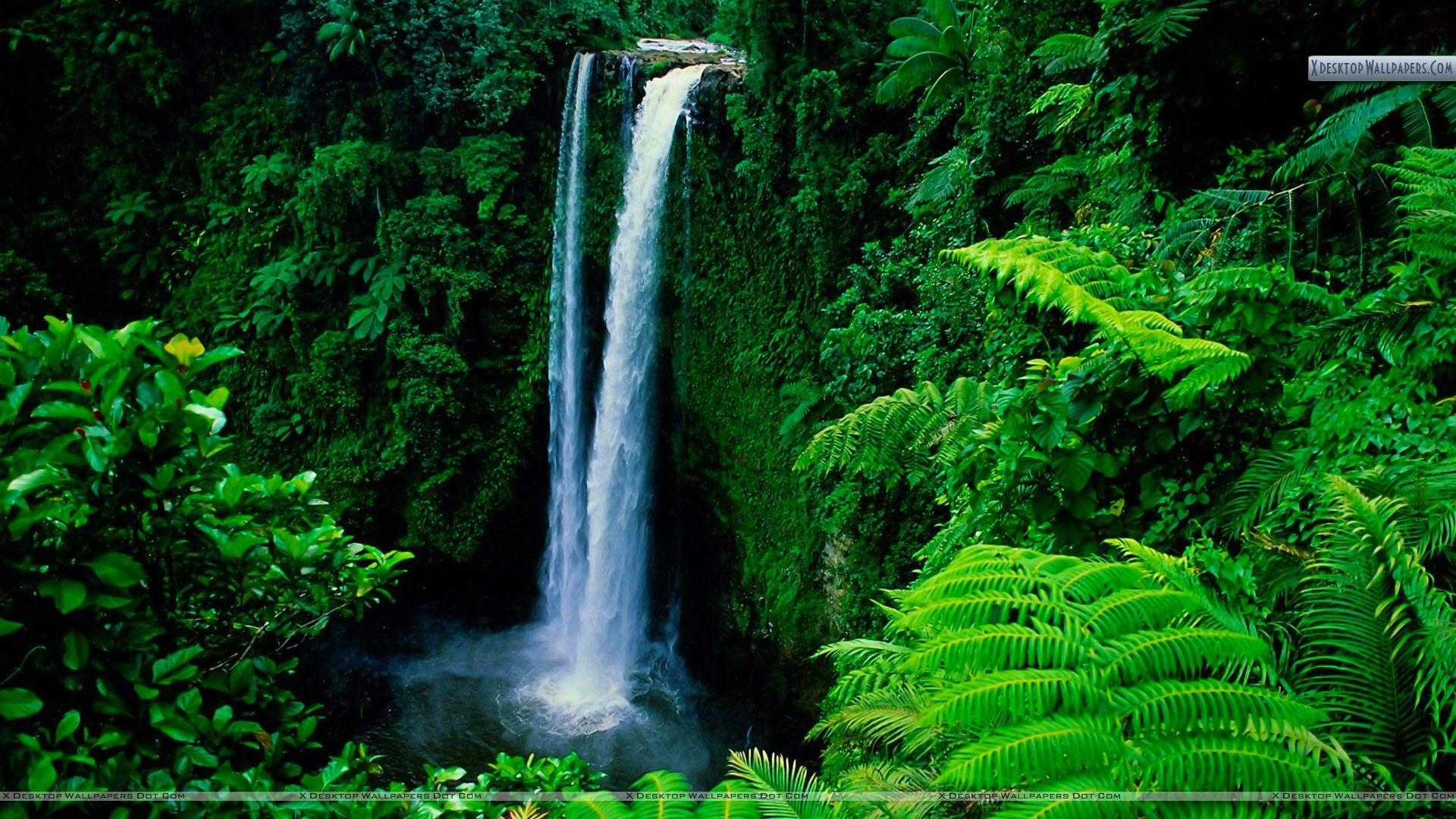 Fuipisia Falls, Upolu, Samoa Wasserfall, Naturerlebnis, Traumreisen, 1920x1080 Full HD Desktop